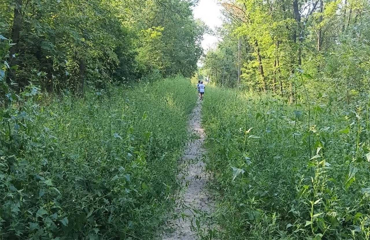 «Фізично не можемо зайти у двори»: керівник КАТП-1628 перепросив полтавців за хащі та поскаржився на зірвані тендери